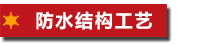 防水結(jié)構(gòu)工藝